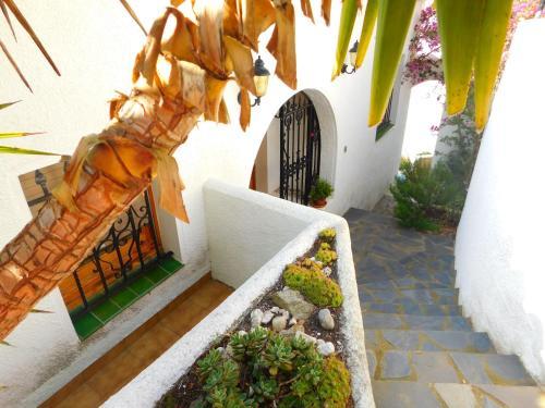 Apartment Pau Vila