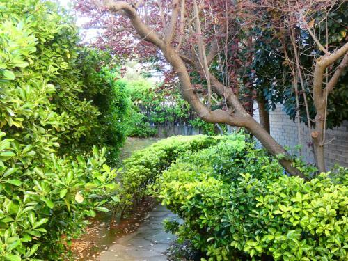 Villa Casa Llevant