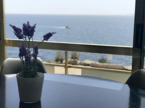 Apartamento Meda Chica 1b