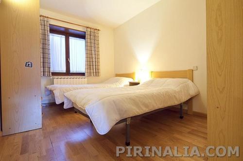 Apartamentos Salardu V