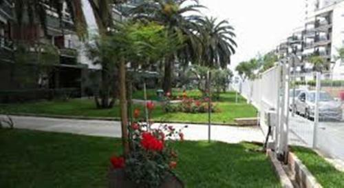 Apartment Formentor