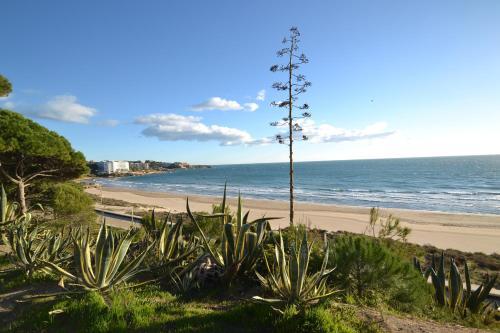 Apartamento Wvp - Gavina