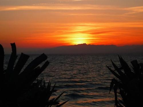 Apartments In Salou/costa Dorada 3948