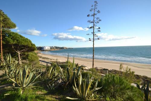 Apartamento Wvp - Montserrada 3