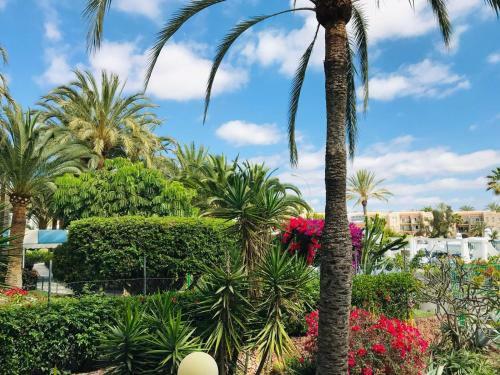 Apartamento Residence Surycan Dunas Maspalomas