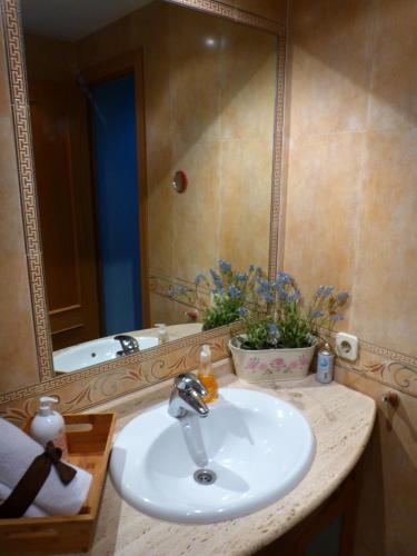 Apartamento Saray