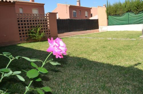 Villa Olivares