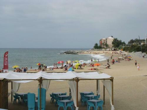 Apartment La Rosa (blaumar)