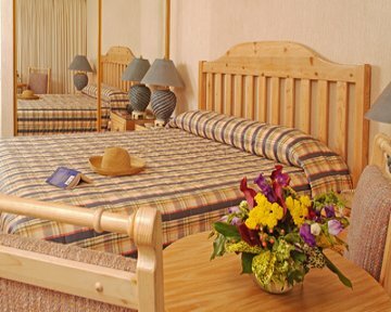 Hotel Silverado Resort And Spa