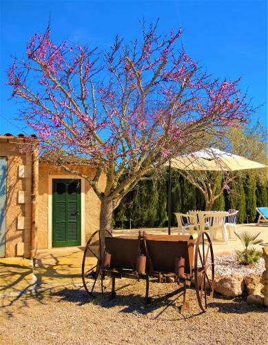 Apartamento Can Jeroni