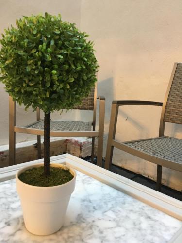 Apartamento Dream Escape