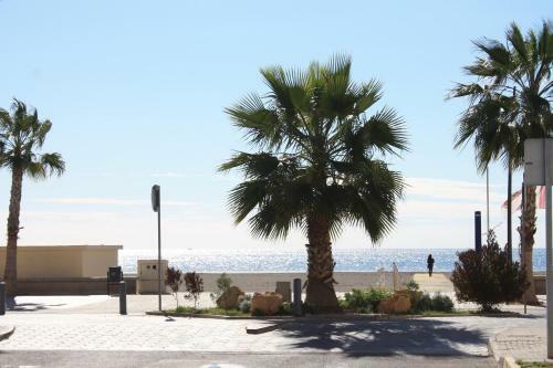 Apartamento Playa Lisa Studio