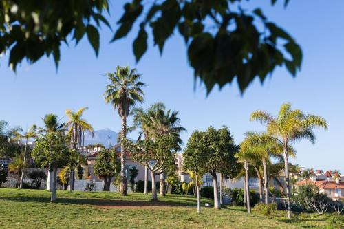 Apartamento Live Santa �rsula La Quinta
