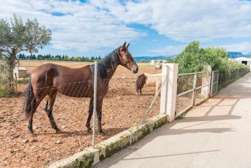 Villa Can Grau (can Grau 32)