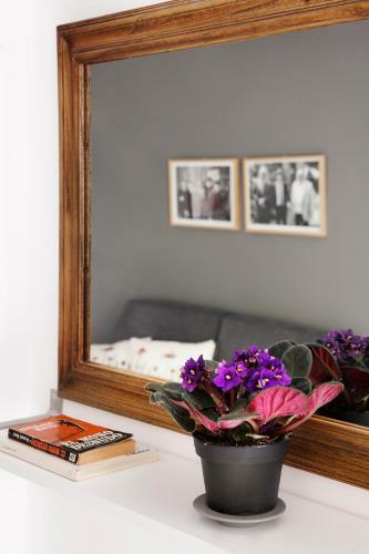 Apartamentos Mariscal