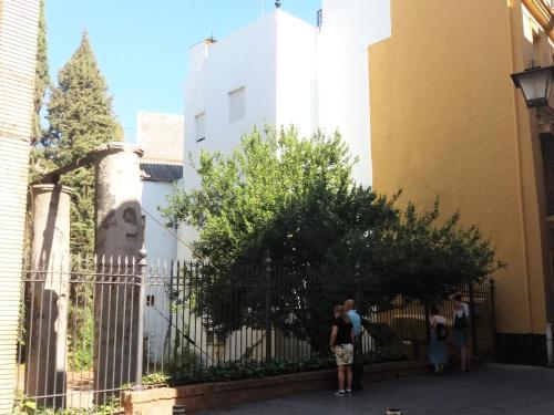 Apartamento Aire