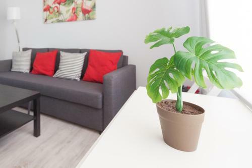 Apartamento Aparbel Munoz Olive