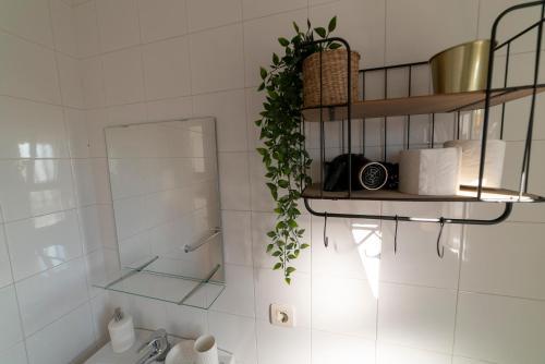 Apartamento Alfarer�a