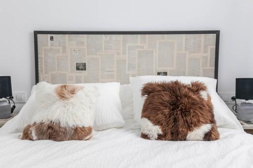Beautiful 1 Bedroom Apartment A/c,wifi