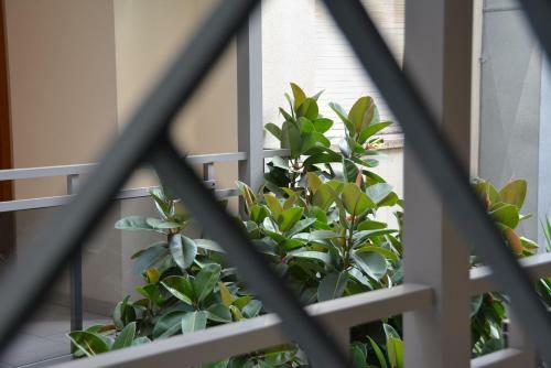 Apartamento Flavia I Espalter