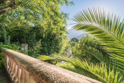 A Baix Des Puig