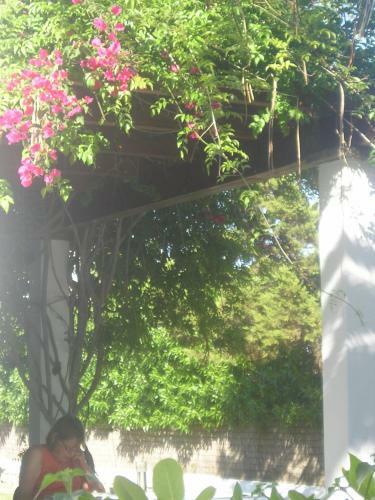 Apartamentos Las Brisas I & II