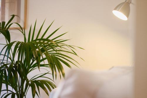 Santa Tecla Apartment - Mediterranean Way