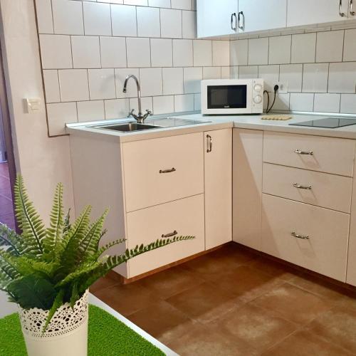 Apartamento Tazacorte Tipical House