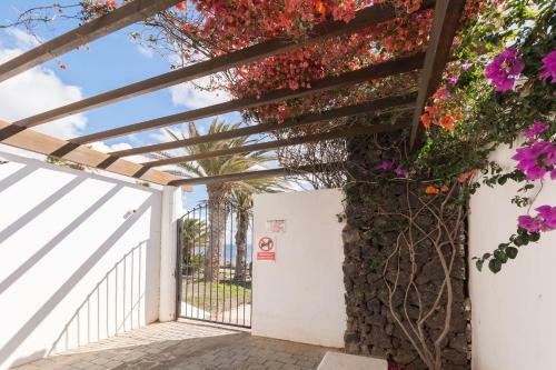 Apartamento Bungalow Oasis
