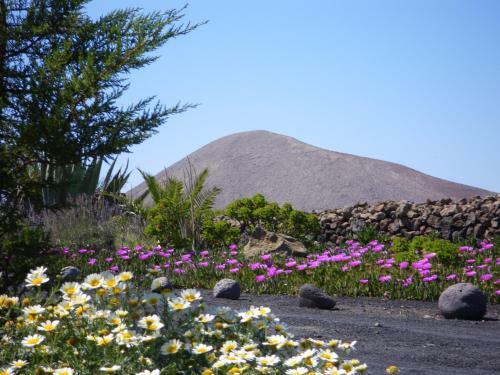 Agroturismo Bodega