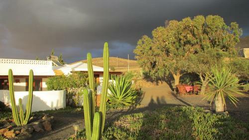 Lodge Yurt