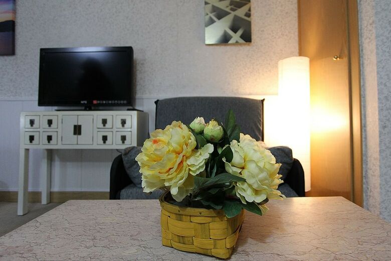 Apartamentos Odelot