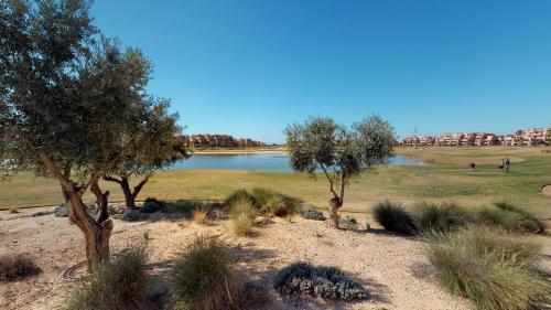Apartamento Gingko 278656 - A Murcia Holiday Rentals Property