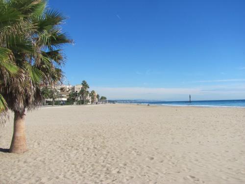 Anforas Mar Gavina