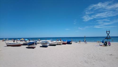Anforas Mar Gavina