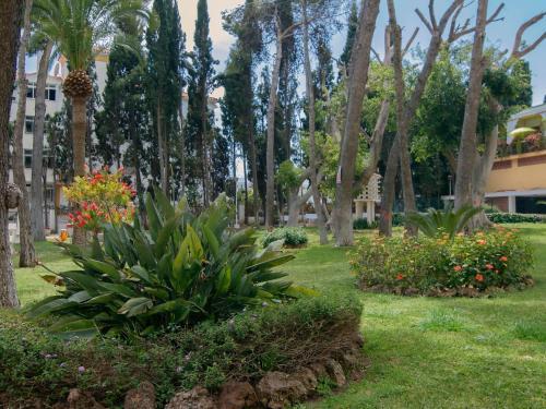Apartment El Roc�o