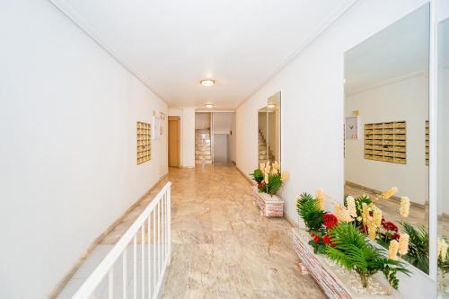 Apartamento Alegria Id64