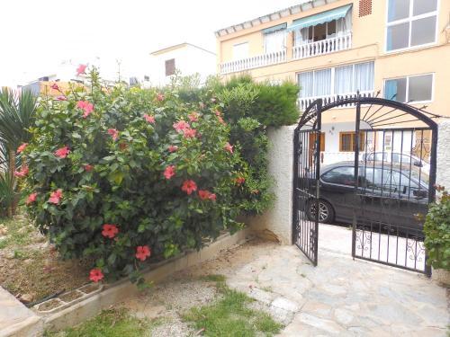 Apartamento Alegria Id39