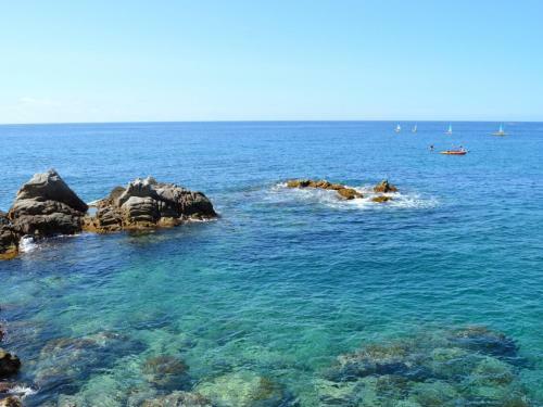 Apartamento Studios Face � La Mer - Cala Llevado