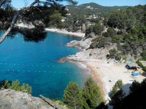 Apartamento Appartement Front De Mer