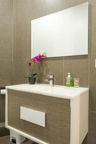 Apartamento San Jaime
