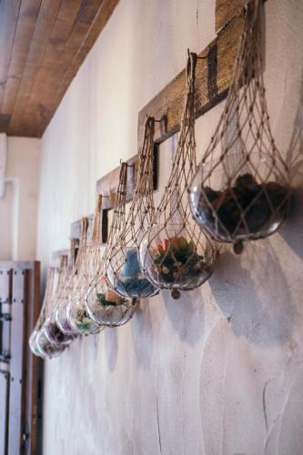 Apartamento Buho House