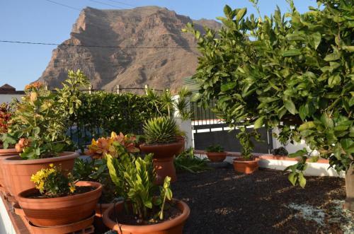 Apartamento Casa Maestro Agust�n N� 1