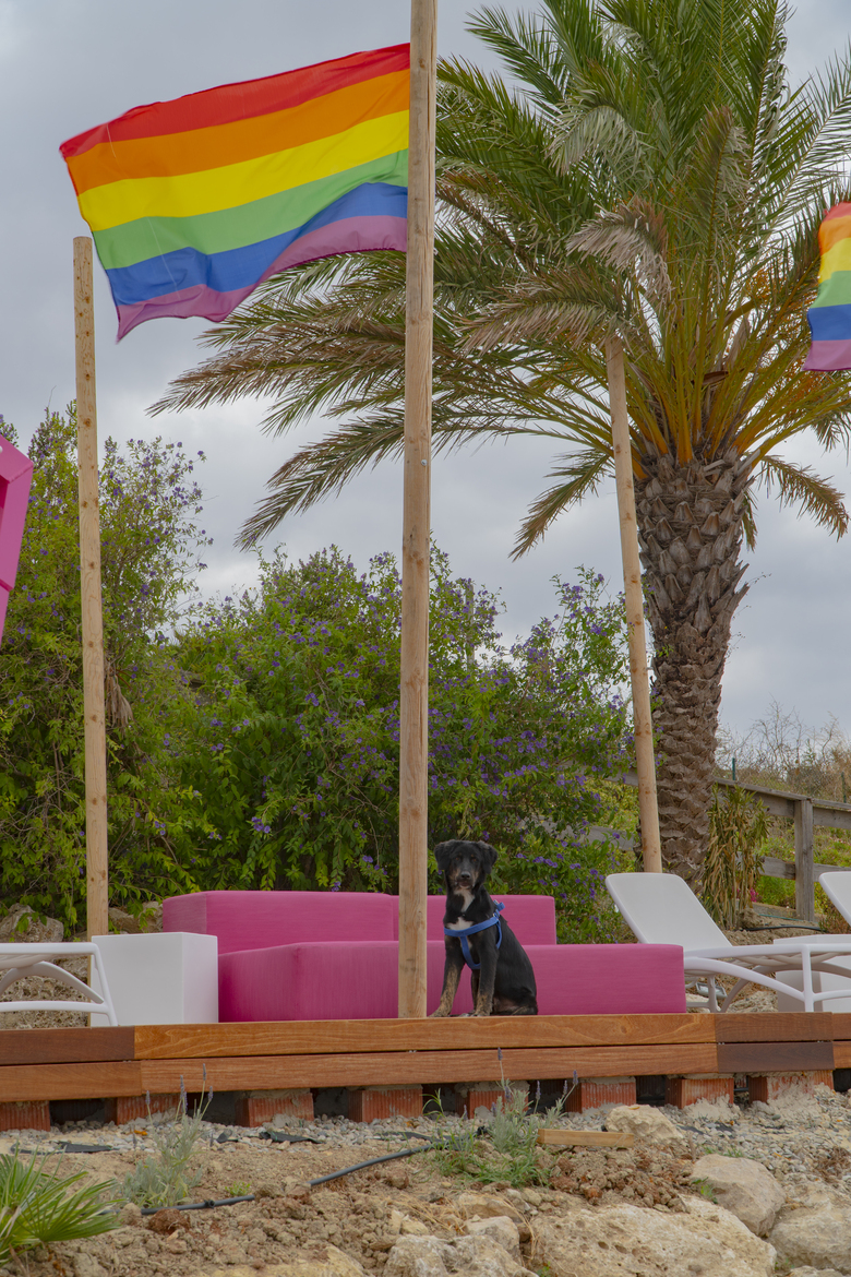 Hotel Ritual El Palmar-adults Only