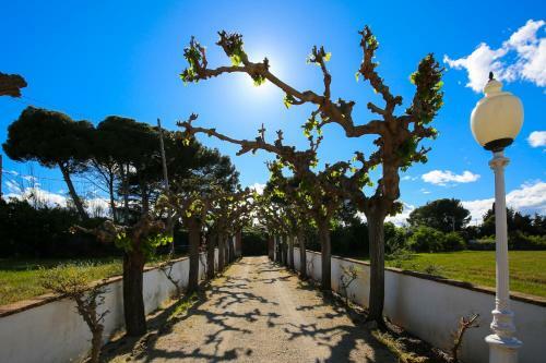 Villa Colonial Planet Costa Dorada