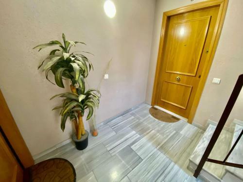Nasta Vilanova Apartment Hutb-017614