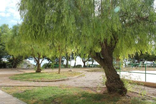 Apartamento Sainvi 39c