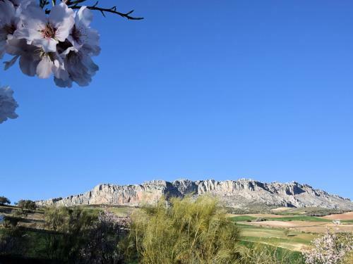 Sue�o Andaluz