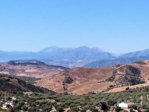 Sue�o Andaluz