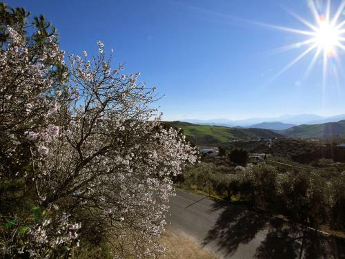 Sue�o Andaluz